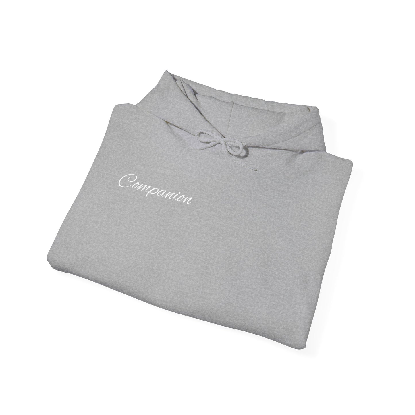 Companion Hoodie