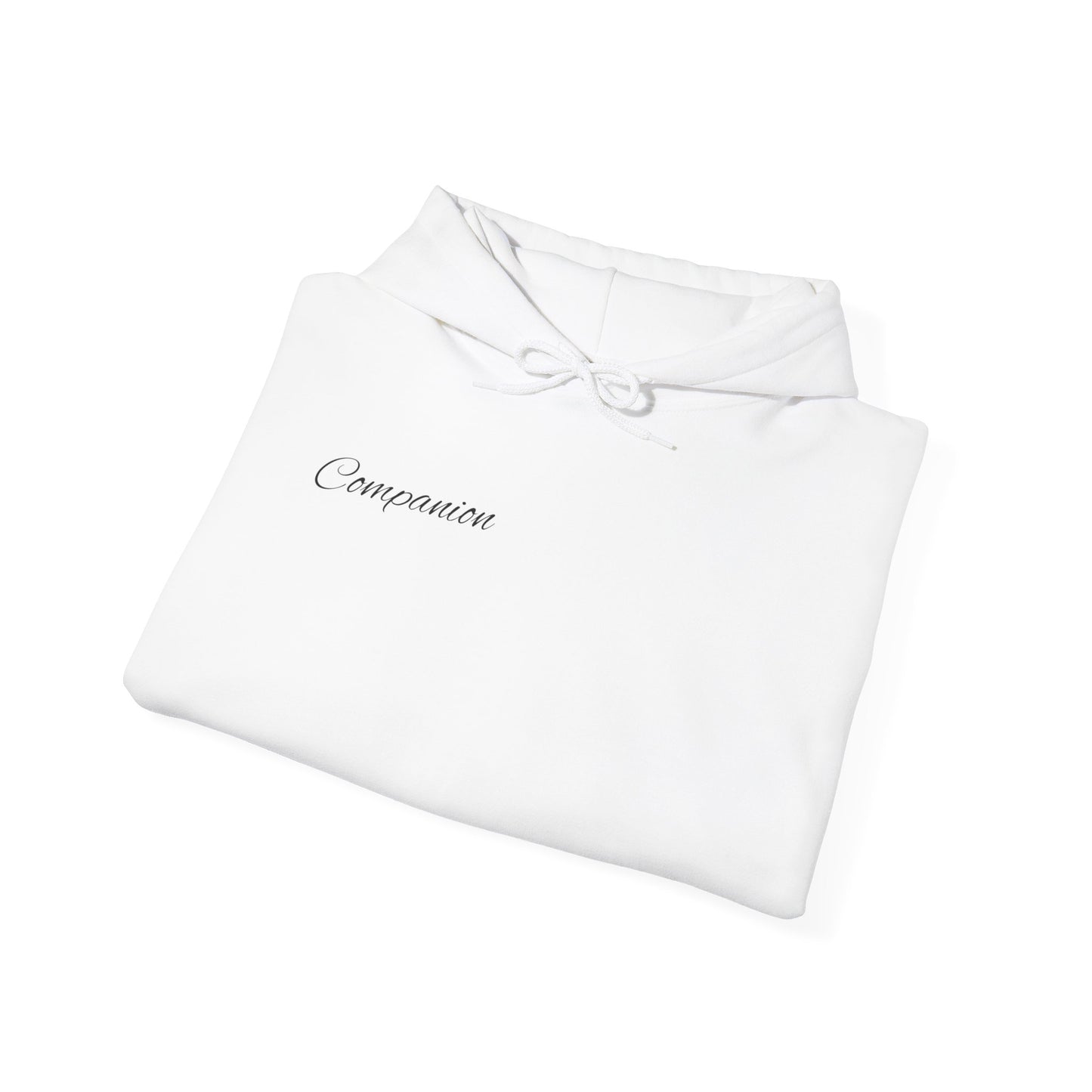 Companion Hoodie