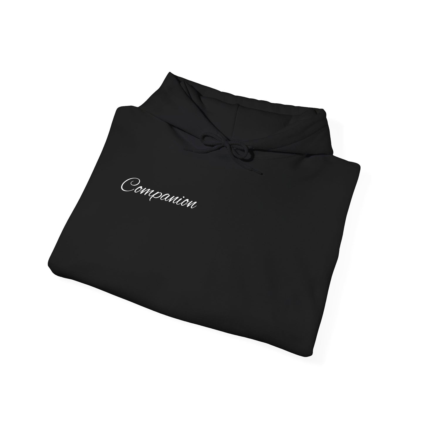 Companion Hoodie