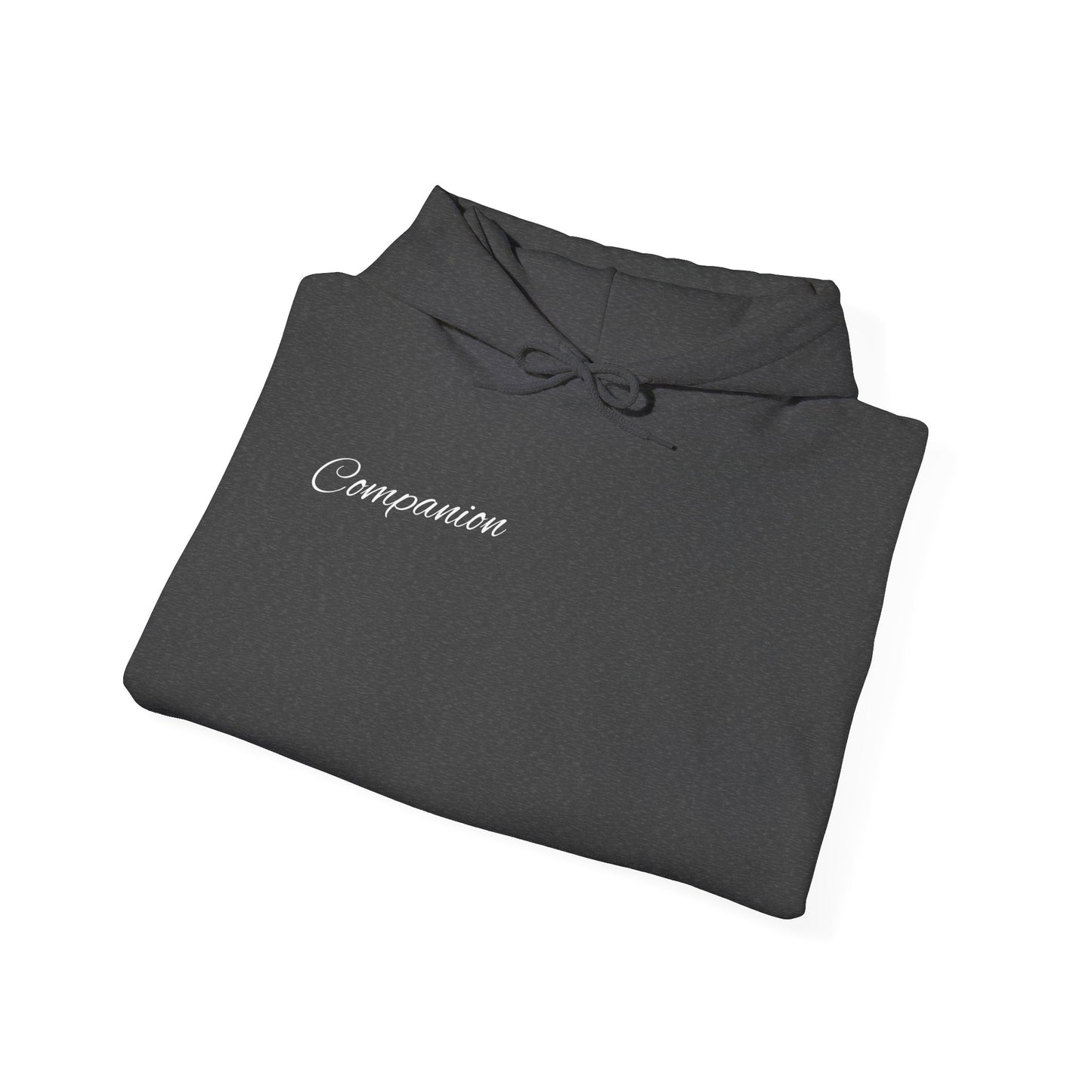 Companion Hoodie